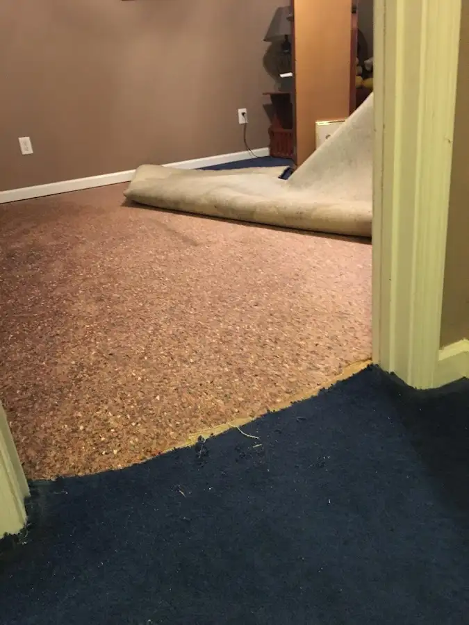 Carpet pad removal revealing water damage during Water Mitigation Services in Apex