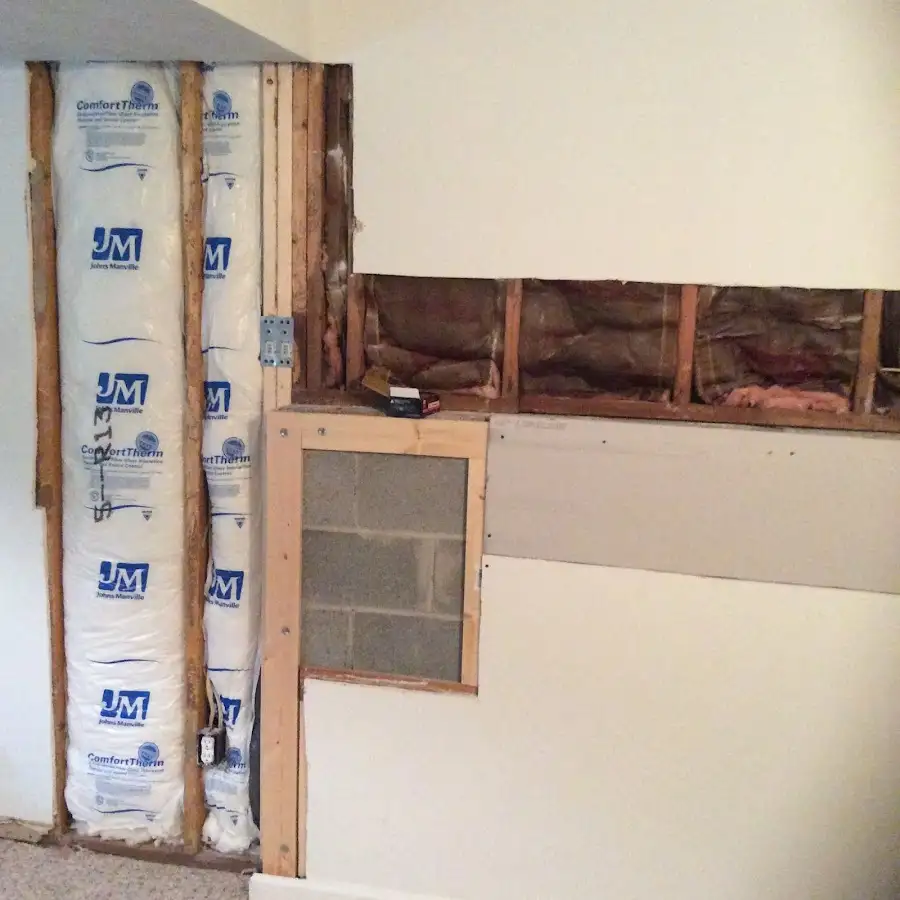 Wall insulation replacement during Odor Removal & Deodorization in Apex